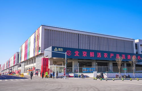 山東蘭陵蔬菜將規?；M京